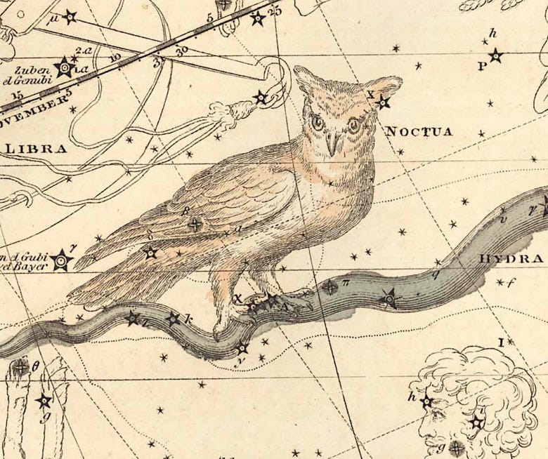 Noctua on Alexander Jamieson's Celestial Atlas