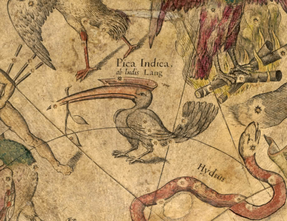 Tucana shown on Willem Janszoon Blaeu’s globe of 1603