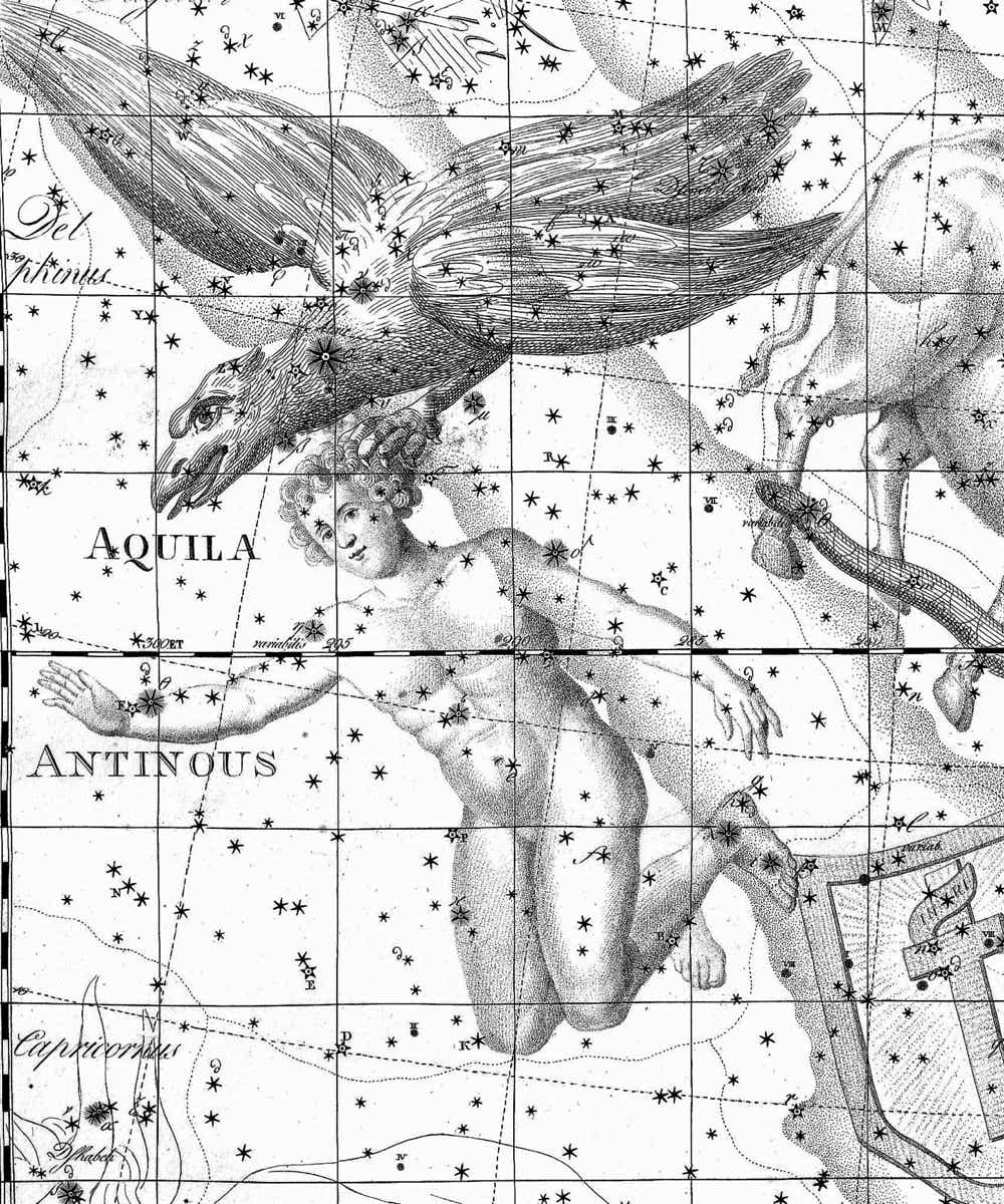 Antinous on Bode's Uranographia