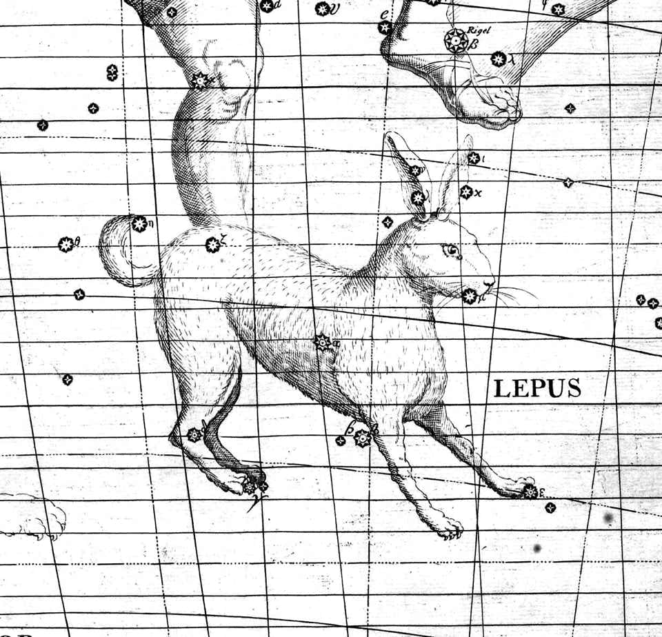 Lepus on Flamsteed's Atlas Coelestis
