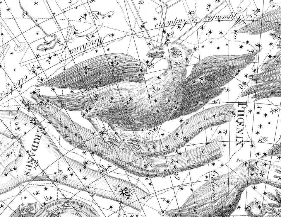 Phoenix on Bode's Uranographia