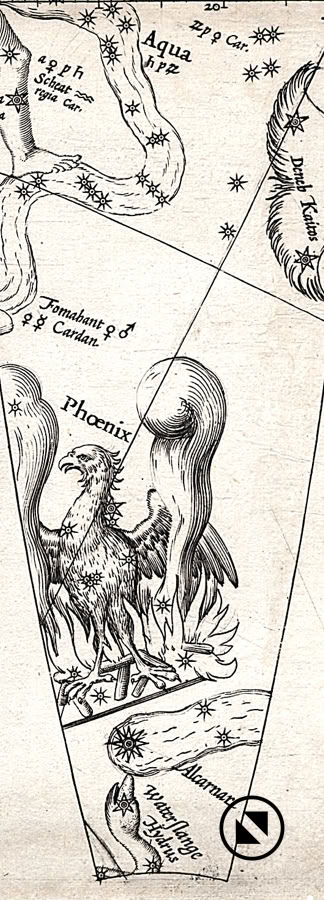 Gores from the Plancius celestial globe of 1598
