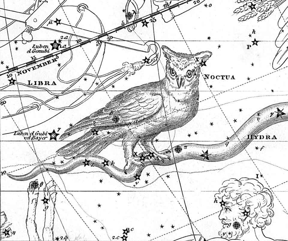 Noctua on Jamieson's Celestial Atlas