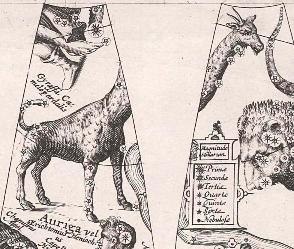 Camelopardalis on a globe of 1612 by Plancius