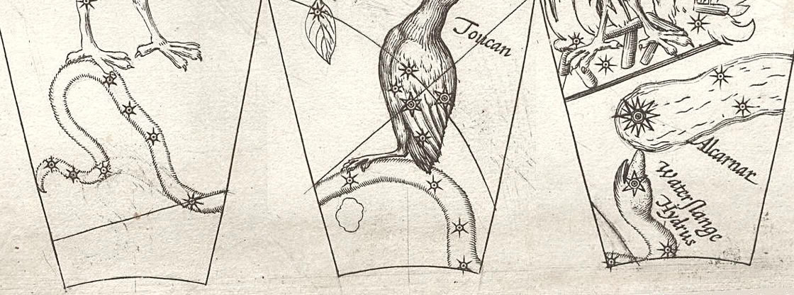 Hydrus seen across three gores from Plancius’s celestial globe of 1598