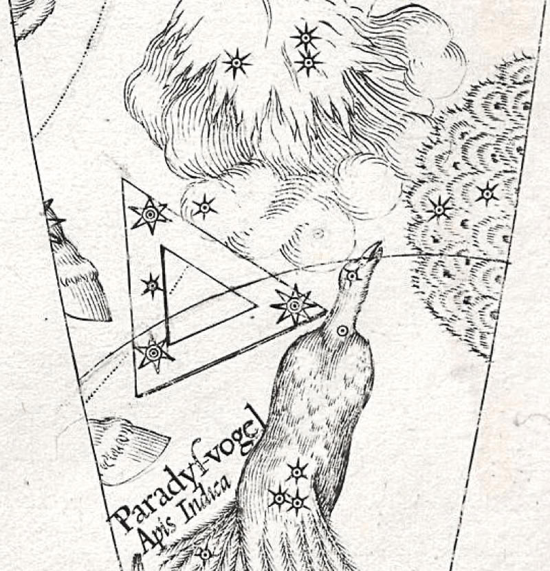 Phoenix shown on Plancius's celestial globe of 1598