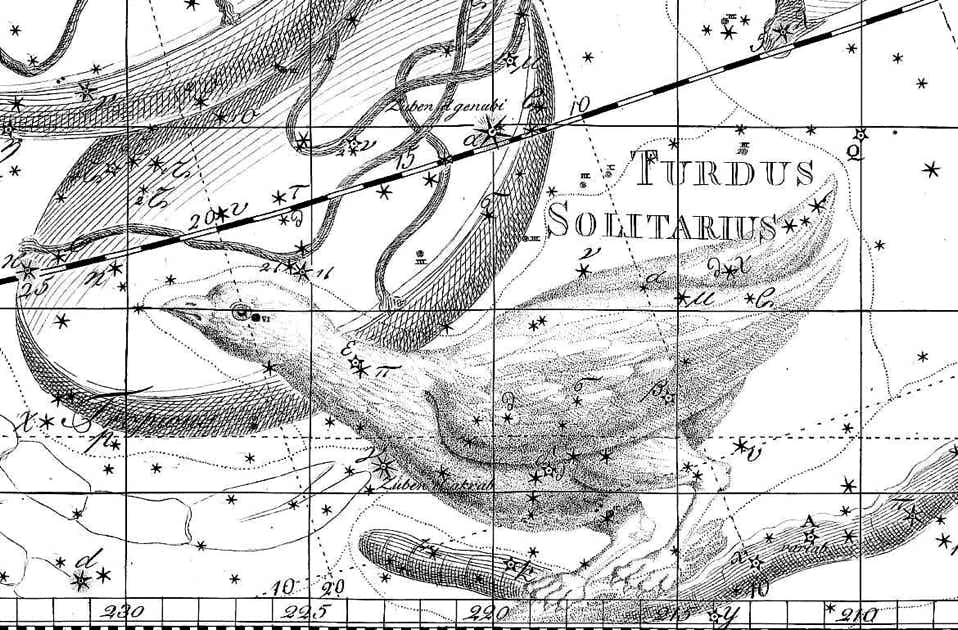 Turdus Solitarius on Bode's Uranographia