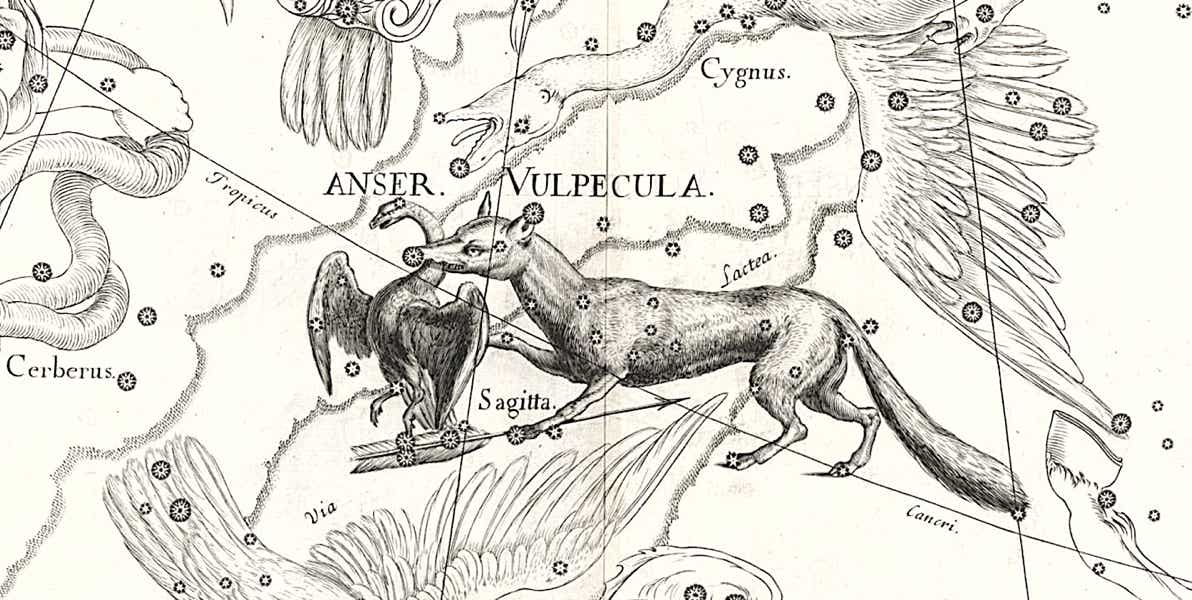 Hevelius's constellation Vulpecula et Anser