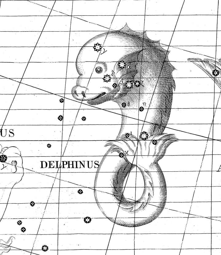 Delphinus on Flamsteed's Atlas Coelestis