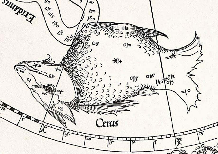 Cetus on Dürer's southern celestial hemisphere