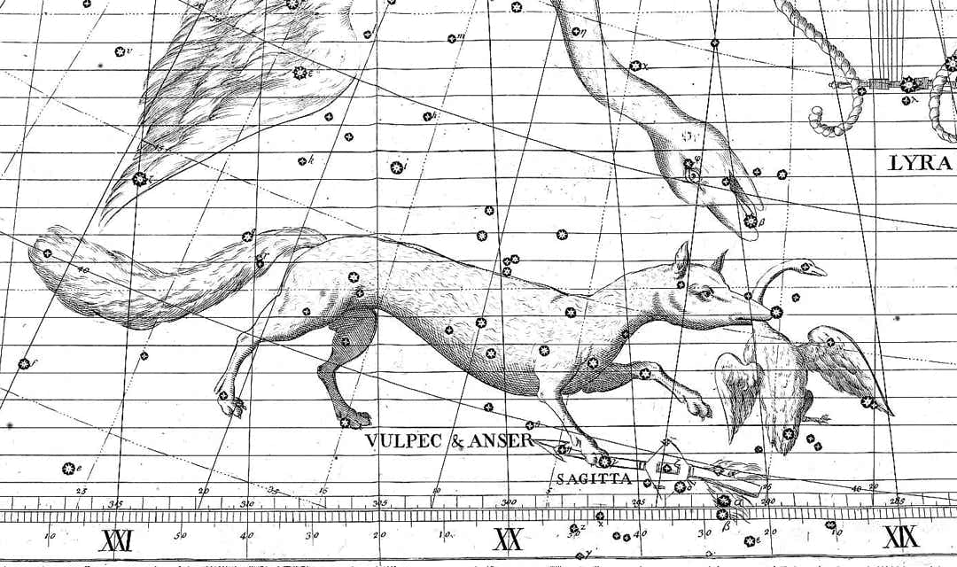 Vulpecula and Anser on Flamsteed's Atlas Coelestis
