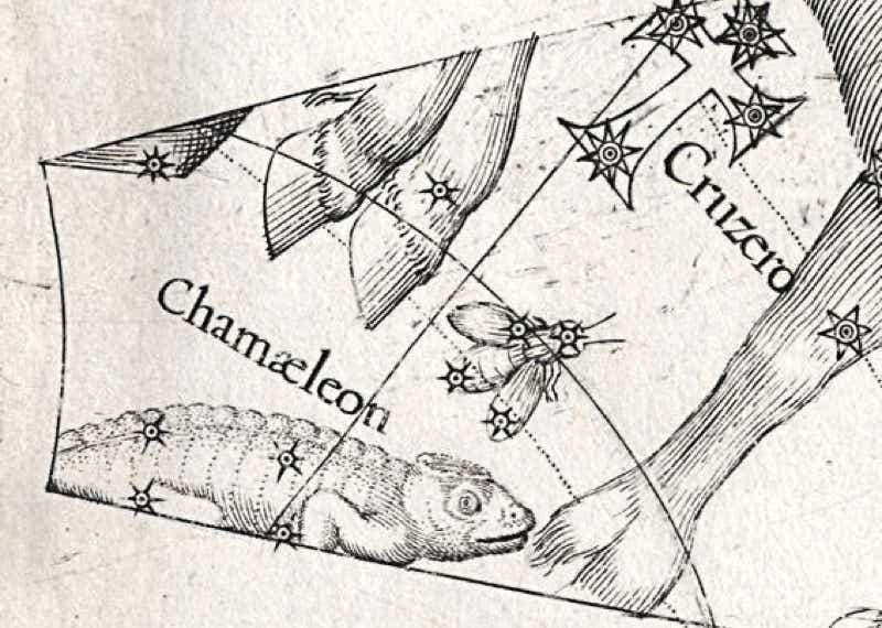 Chamaeleon and the fly shown on Plancius's globe of 1598