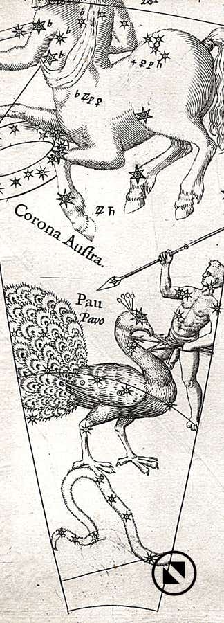Gores from the Plancius celestial globe of 1598