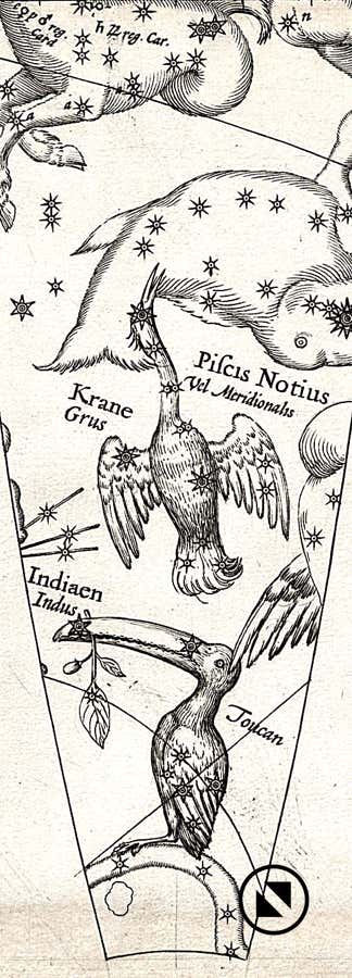 Gores from the Plancius celestial globe of 1598
