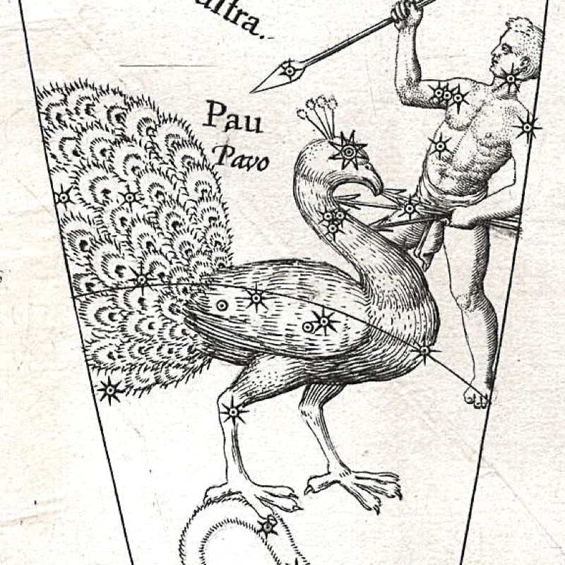 Pavo shown on Plancius's celestial globe of 1598