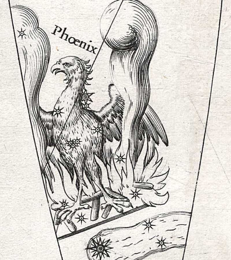 Phoenix shown on Plancius's celestial globe of 1598