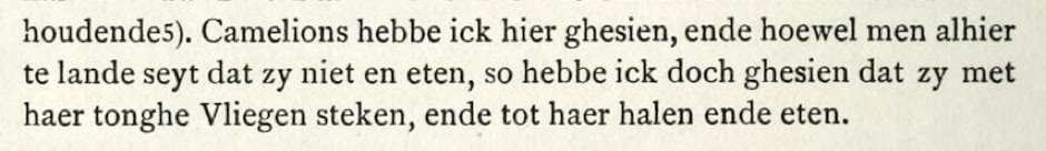 Willem Lodewyckz’s description of chameleons