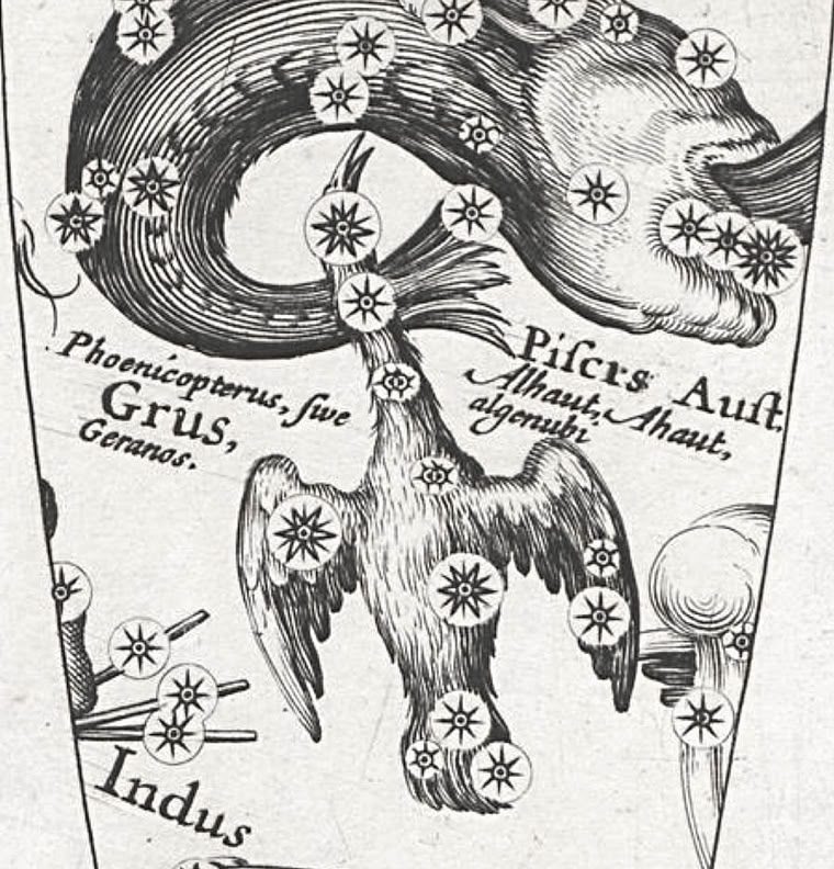 Phoenicopterus on Pieter van den Keere’s globe c.1625.