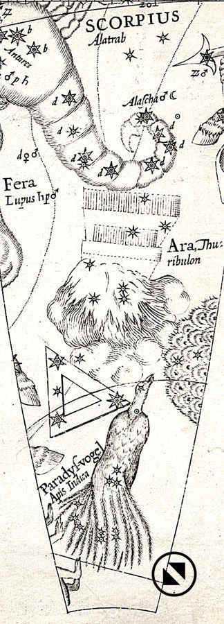 Gores from the Plancius celestial globe of 1598