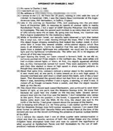 Halt affidavit1.jpg